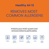 AprilAire 213 Replacement Filter for AprilAire Whole House Air Purifiers - MERV 13, Healthy Home Allergy, 20x25x4 Air Filter (Pack of 1)