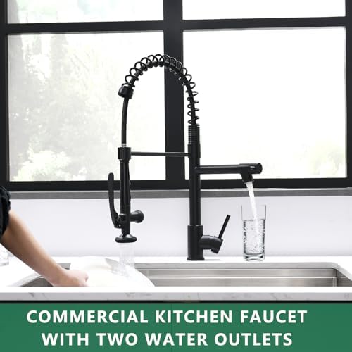 Fapully Black Kitchen Faucet,Commercial Pull Down Kitchen Sink Faucet with Sprayer