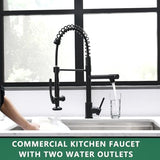 Fapully Black Kitchen Faucet,Commercial Pull Down Kitchen Sink Faucet with Sprayer