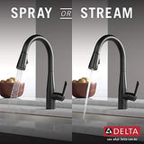 Delta 9113-BL-DST Essa Kitchen Faucet, Standard, Matte Black