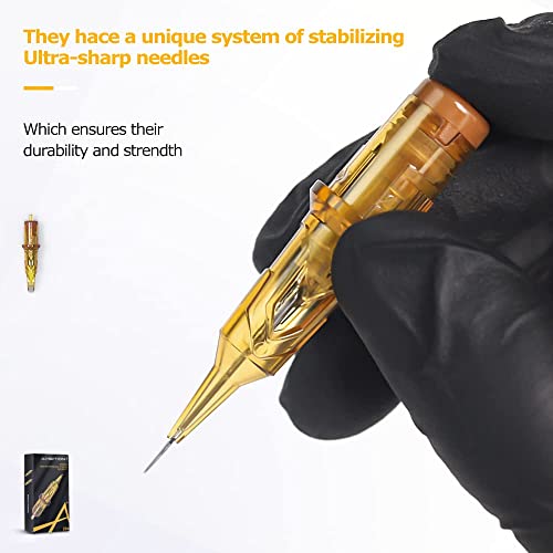 Ambition Soldier Tattoo Machine Kit Complete Rotary Wireless Tattoo Pen Gun Kit with 20pcs Glory Tattoo Cartridge Needles Practice Skin Supplies for Beginners & Professional Artists, Gold