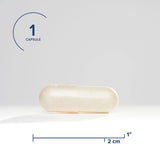 Seeking Health ProBiota HistaminX, 10 Billion CFU Low-Histamine Probiotic Supplement for Gut Health, Microbiome Balance, Digestive Comfort for Histamine Intolerance, Vegan & Vegetarian (60 Capsules)