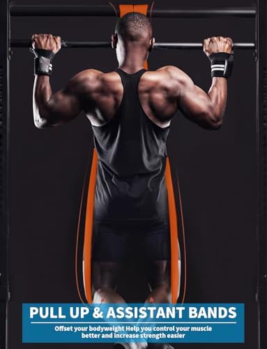 Resistance Bands, Pull Up Bands, Exercise Workout Bands for Working Out, Pull Up Assistance Bands Set for Men & Women, Body Stretching, Physical Therapy, Muscle Training