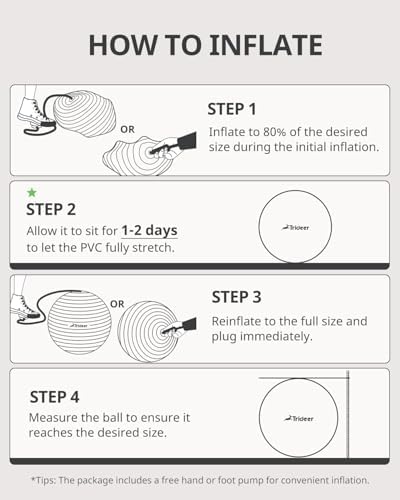 Trideer Extra Thick Yoga Ball Exercise Ball, 5 Sizes Gym Ball, Heavy Duty Ball Chair for Balance, Stability, Pregnancy, Quick Pump Included