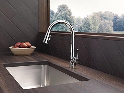 Delta 9113-DST Essa Kitchen Faucet, Standard, Chrome