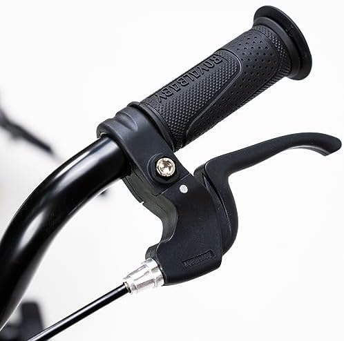 RoyalBaby Kids Bike EZ Freestyle Training Free Balance to Pedal Easy Learning Bicycle, 12-18 Inch for Toddlers to Big Kids