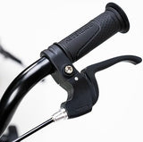 RoyalBaby Kids Bike EZ Freestyle Training Free Balance to Pedal Easy Learning Bicycle, 12-18 Inch for Toddlers to Big Kids