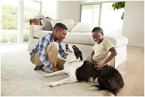 Filtrete 24x30x1 AC Furnace Air Filter, MERV 12, MPR 1500, CERTIFIED asthma & allergy friendly, 3 Month Pleated 1-Inch Electrostatic Air Cleaning Filter, 6-Pack (Actual Size 23.81x29.81x0.78 in)