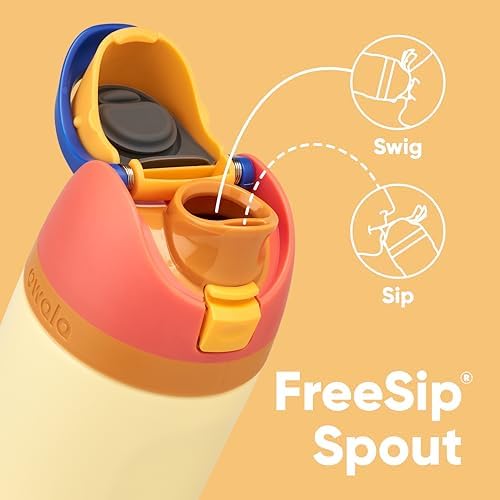 Kids FreeSip Insulated Stainless Steel Water Bottle with Straw, BPA-Free Sports Water Bottle, Great for Travel, 16 oz, Misty Horizon