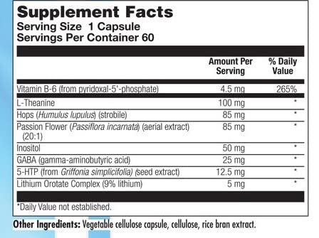 Nutra Biogenesis Stress Factors - GABA Supplements for Women & Men, L Theanine Calm Relaxation Support for Adults, 100mg L-Theanine & 25mg GABA Per Pill - 60 Veggie Capsules