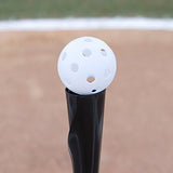 Champion Sports Hollow Plastic Baseballs