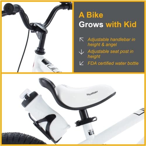 RoyalBaby Kids Bike EZ Freestyle Training Free Balance to Pedal Easy Learning Bicycle, 12-18 Inch for Toddlers to Big Kids
