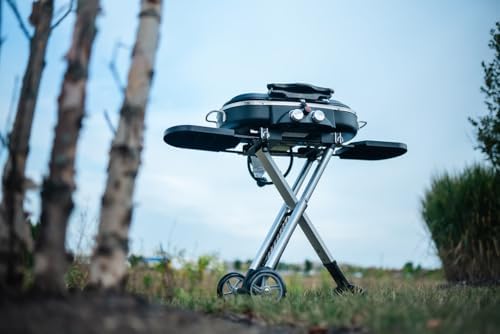 Gridiron Tailgate 205 Portable Gas Grill, Dual Burner, High-Performance