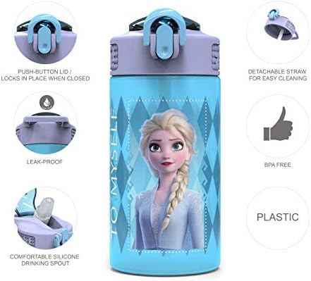 Zak Designs Disney Frozen 2 Kids Water Bottle Set with Reusable Straws and Built in Carrying Loops, Made of Plastic, Leak-Proof Designs 16 oz, BPA-Free, 2pc Set, Elsa & Anna (Frozen 2)