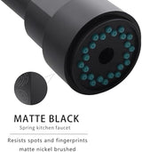 AIMADI Black Kitchen Faucet with 2 Function Sprayer,Commercial Stainless Steel Single Handle Single Hole Spring Matte Black Kitchen Faucet