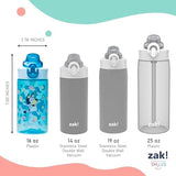 Zak Designs Bluey Sage Kids Water Bottle For School or Travel, 16oz Durable Plastic Water Bottle With Straw, Handle, and Leak-Proof, Pop-Up Spout Cover, 2-Pack Set (Bluey & Bingo)