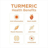 99% Pure Organic Turmeric Juice by The Ginger People – Digestive Health, Premium Quality, 32 Fl oz Bottle (Pack of 1)