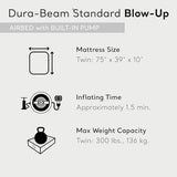 Intex Dura-Beam Standard Pillow Rest Classic Air Mattress Series with Internal Pump