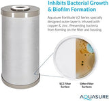 Fortitude V2 Series Sediment/Carbon/Zinc Bacteria Inhibiting Triple Purpose Replacement Filter - Standard (Sediment/Carbon/Zinc, Standard)