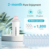 AQUA CREST Magnesium Water Filter, Intended for Brita® Pitchers and Dispensers, Everyday, UltraMax, Metro+, XL and More, 2 Months, Reduces Chlorine, 6 Count