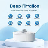 [Original] Waterdrop Replacement Filters for All Waterdrop Pitcher Filtration System, Reduces PFAS, PFOA/PFOS, Chlorine, Last Up to 3 Months or 200 Gallons, 2 Packs，WD-PF-01A Plus, NSF Certified