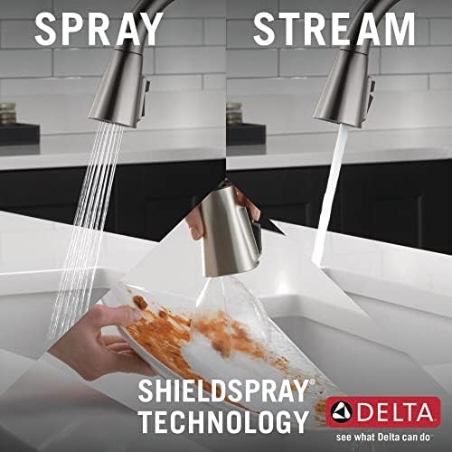 Delta 19802Z-SP-DST Lenta Kitchen Faucet, Without Soap Dispenser, SpotShield Stainless