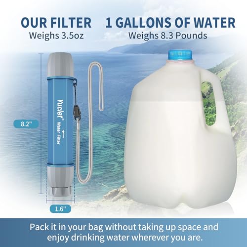 2 Pack Water Filter Straw for Drinking Survival, Personal Straws for Purifying Water, Water Purification Straw Water Purifier Survival Gear and Supplies for Hiking, Camping, Travel, and Emergency