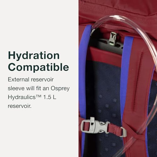 Osprey Jet 28L Kid's Hiking Backpack, Green Canopy