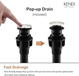 KENES Single Handle Bathroom Sink Faucet, Brushed Nickel Vanity Faucet for Bathroom Sink, with Pop Up Drain Stopper & Water Supply Lines LJ-9031