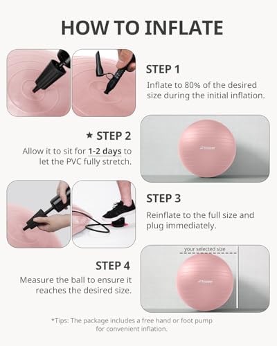 Trideer Yoga Ball - Exercise Ball for Workout pilates Stability - Anti-Burst and Slip Resistant for physical therapy, Birthing, Stretching & Core Workout, Office Ball Chair, Flexible Seating, Home Gym