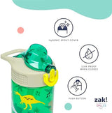 Zak Designs PAW Patrol Sage Kids Water Bottle For School or Travel, 16oz Durable Plastic Water Bottle With Straw, Handle, and Leak-Proof, Pop-Up Spout Cover, 2-Pack Set (Skye & Friends)