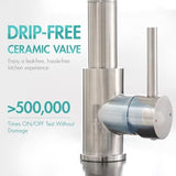 AIMADI Commerical Kitchen Faucet with Sprayer,Single Handle Pull Down Sprayer Kitchen Sink Faucet with LED Light Two Spout,Brushed Nickel