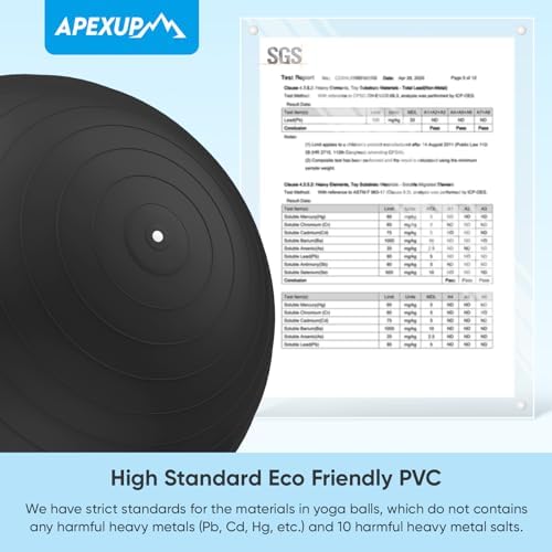 APEXUP Yoga & Pilates Ball - Anti Slip Heavy Duty Gym Ball for Fitness, Balance & Core Workout