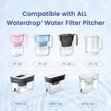 Waterspecialist Filter Replacement for All Waterdrop® Pitcher Filtration System, Fits Waterdrop WD-PF-01A Plus, Reduces PFOA/PFOS, Chlorine, Last Up to 3 Months or 200 Gallons (Pack of 1)