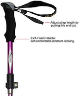 Aluminum Collapsible Ultralight Travel Trekking Hiking Pole for Men and Women