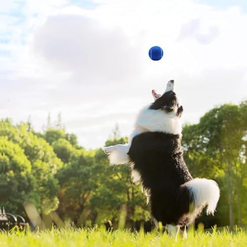 Magicorange Tennis Balls, 12 Pack Advanced Training Tennis Balls Practice Balls, Come with Mesh Bag for Easy Transport, Good for Beginner Training Ball