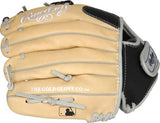 Rawlings | Sure Catch T-Ball & Youth Baseball Glove | Sizes 9.5" - 11.5" | Multiple Styles