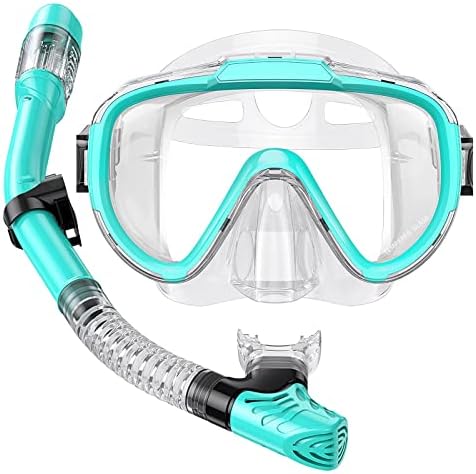 Snorkel Set Adults Snorkeling Gear Anti-Fog Panoramic View Swim Mask Dry Top Snorkel Kit with Carry Bag for Snorkeling Scuba Diving Swimming Travel