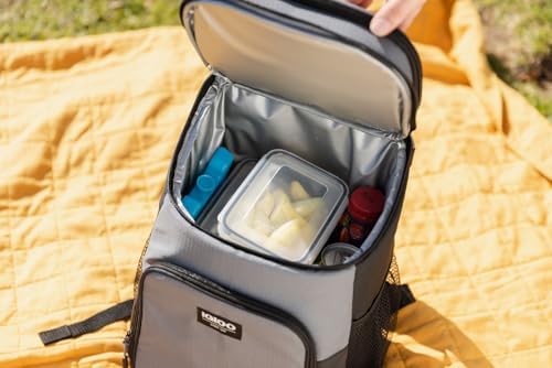 Igloo Maxcold Ice Blocks, Reusable