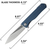 Petrified fish G10 handle D2 steel blade 2CR13 liner ball bearing flipper folding knife camping hunting EDC pocket tool PF818 (Gray, Satin)
