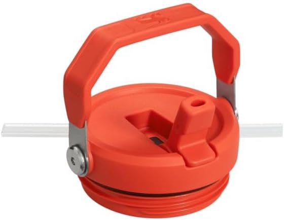 Stanley IceFlow Flip Straw Tumbler with Handle 30 oz | Twist On Lid and Flip Up Straw | Leak Resistant Water Bottle | Insulated Stainless Steel |BPA-Free | Plum