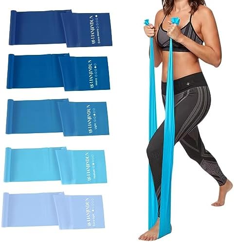 5 Pcs Professional Resistance Bands. Latex-Free, Elastic Band, Work Out Bands, Stretch Bands for Working Out Women or Men, Exercise Bands Set for Physical Therapy, Yoga, Pilates