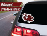 South Carolina Stickers (14 Piece) Gamecocks Gifts for Men Football Fans for Car Laptop Water Bottle + 2 Large USC Car Decals, 10 Water Bottle Size, 2 Keyboard Size