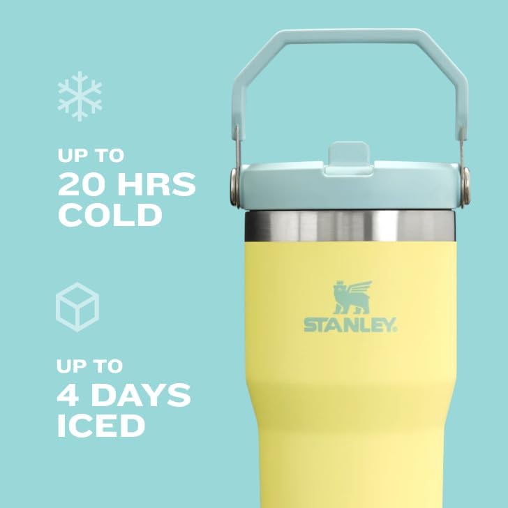 Stanley IceFlow Flip Straw Tumbler with Handle 20 oz | Twist On Lid and Flip Up Straw | Leak Resistant Water Bottle | Insulated Stainless Steel |BPA-Free | Mist