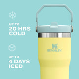 Stanley IceFlow Flip Straw Tumbler with Handle 20 oz | Twist On Lid and Flip Up Straw | Leak Resistant Water Bottle | Insulated Stainless Steel |BPA-Free | Pomelo