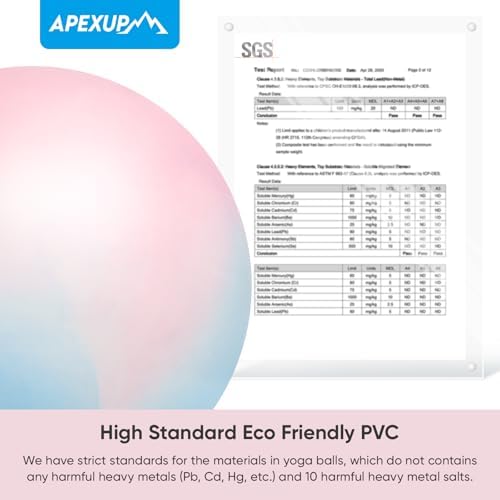 APEXUP Yoga & Pilates Ball - Anti Slip Heavy Duty Gym Ball for Fitness, Balance & Core Workout