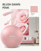 Trideer Yoga Ball - Exercise Ball for Workout pilates Stability - Anti-Burst and Slip Resistant for physical therapy, Birthing, Stretching & Core Workout, Office Ball Chair, Flexible Seating, Home Gym