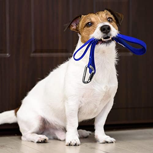 3inch Auto Locking Carabiner Clips Heavy Duty, 12KN /2697lbs Lightweight keychain carabiners, Sturdy Twist Lock Caribeeners for Camping Hiking Hammock Swing Backpack, dog leash and Harness etc