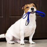 3inch Auto Locking Carabiner Clips Heavy Duty, 12KN /2697lbs Lightweight keychain carabiners, Sturdy Twist Lock Caribeeners for Camping Hiking Hammock Swing Backpack, dog leash and Harness etc