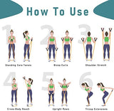 Resistance Bands with Handles, Single Resistance Bands, Exercise Bands with Handles, for Resistance Training, Physical Therapy, Home Workouts, Fitness, Pilates